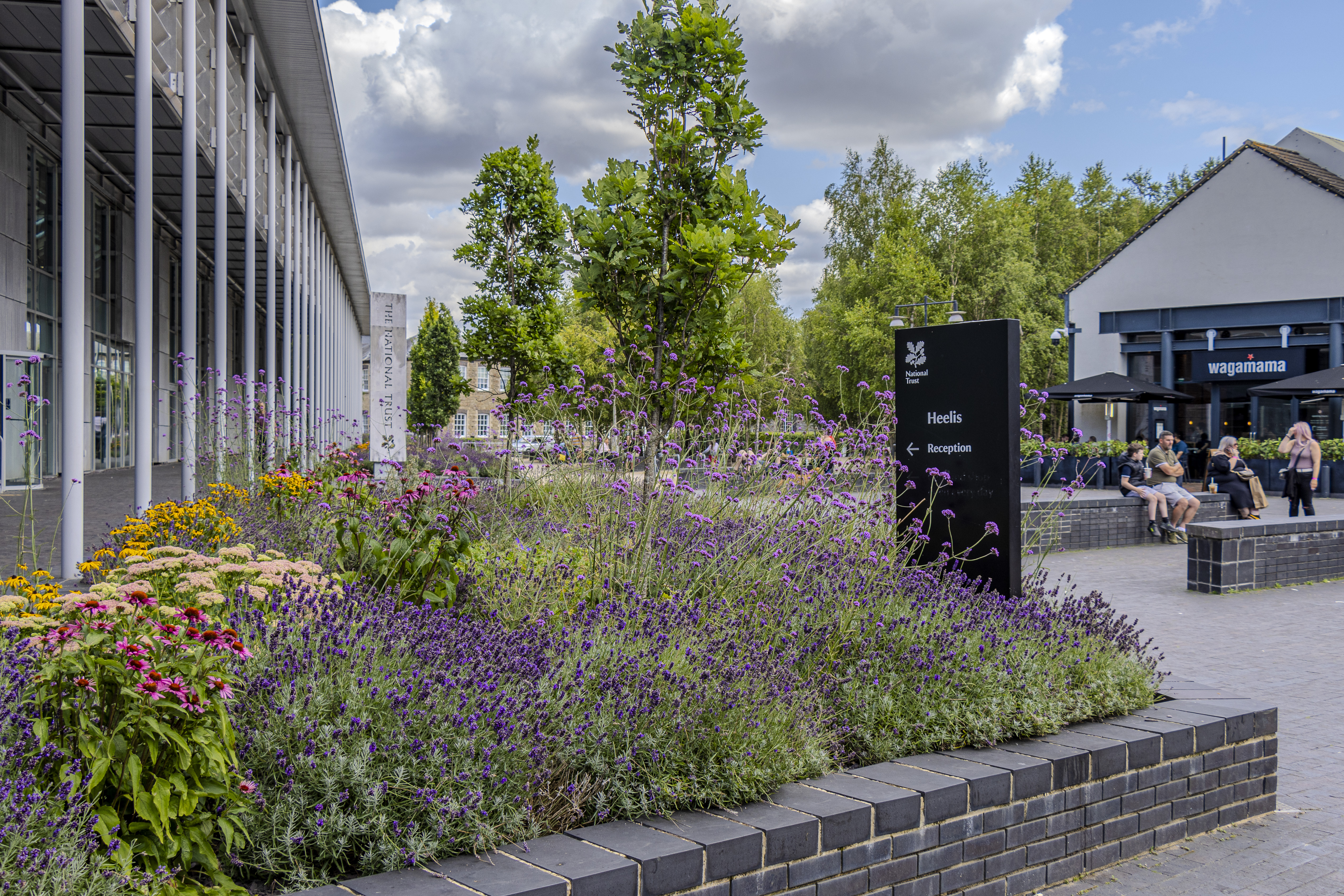 A beautiful and colourful flower bed outside The National Trust. Trees, people, and a Wagamama are in the background