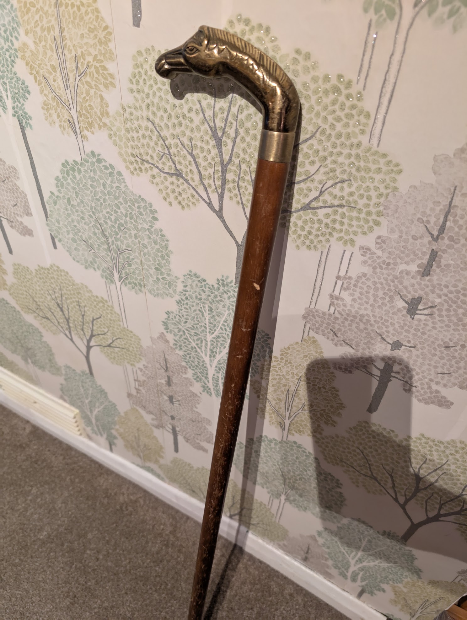 My old cane