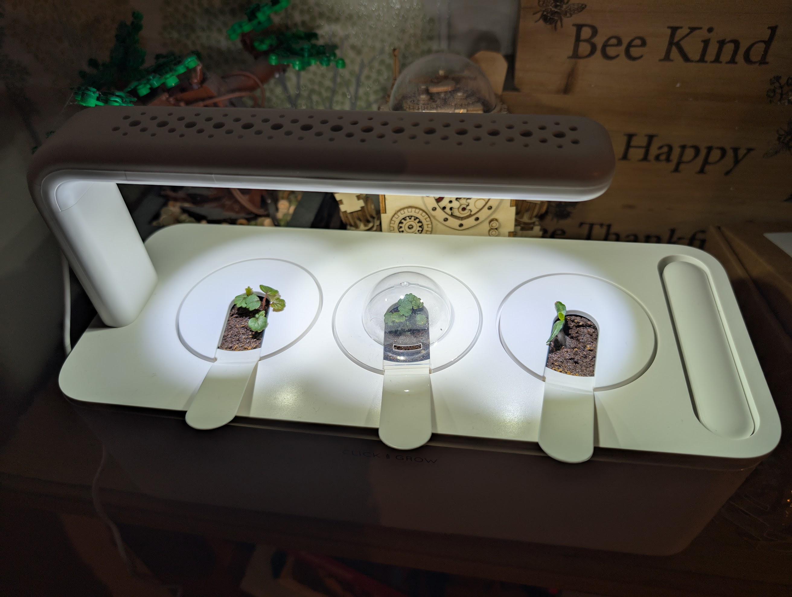 My new Hydroponic Grow Light