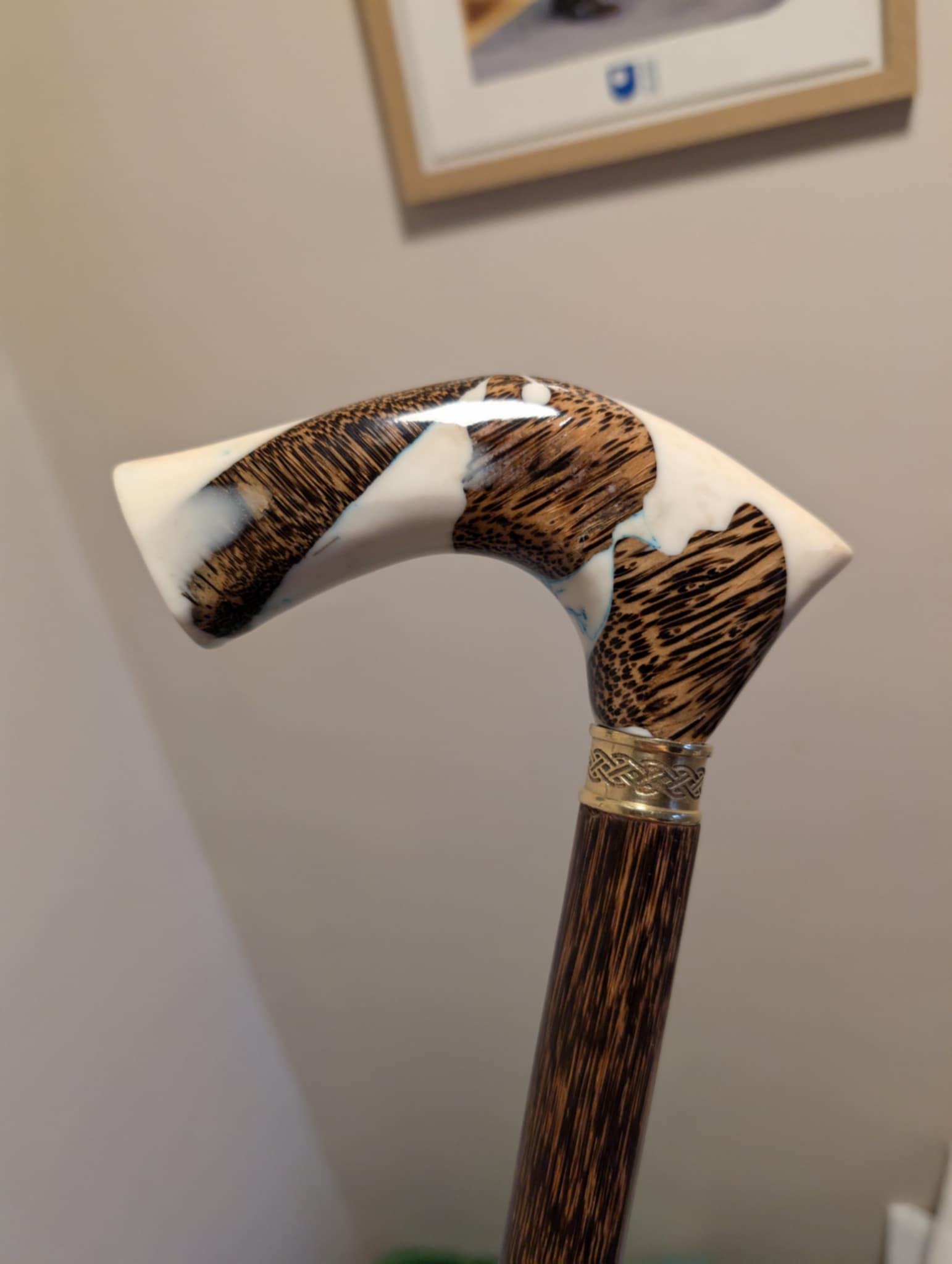 my walking stick