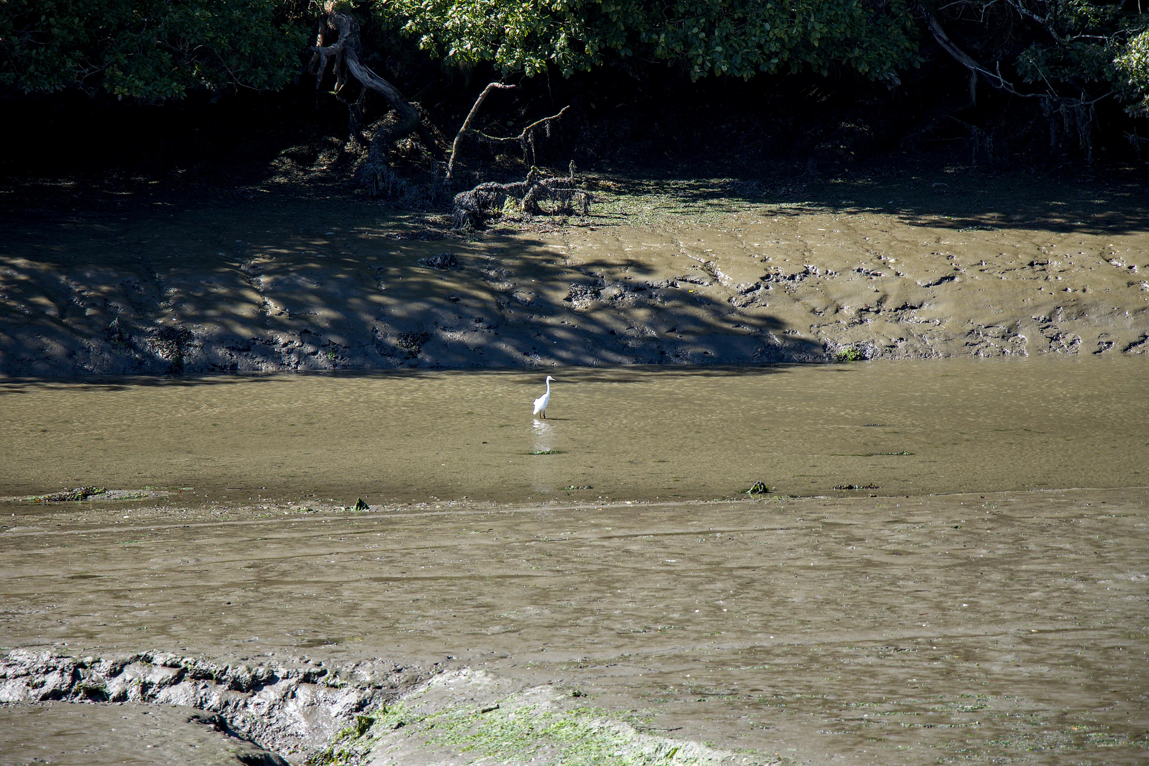 Cornish Seal Sanctuary
